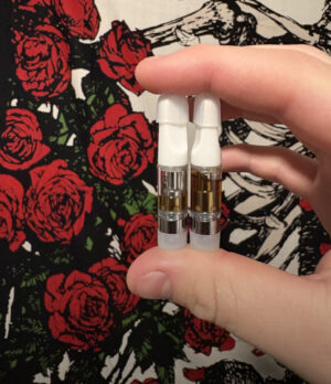 the 1g n n dmt vape pen showing mouthpiece, dosage indicator, highlighting its user-friendly design for a smooth vaping experience